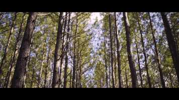 Free download Generationals - Breaking Your Silence [OFFICIAL MUSIC VIDEO] video and edit with RedcoolMedia movie maker MovieStudio video editor online and AudioStudio audio editor onlin